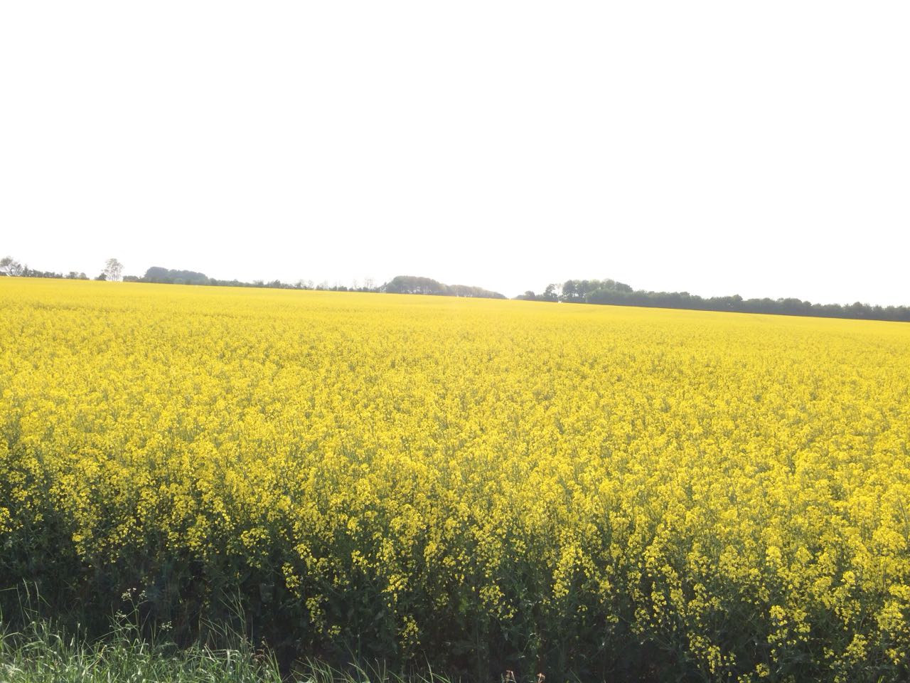 Bild 119